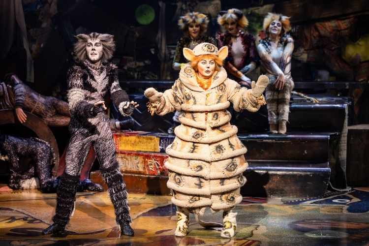 Cats Daniel Boud 2025 2