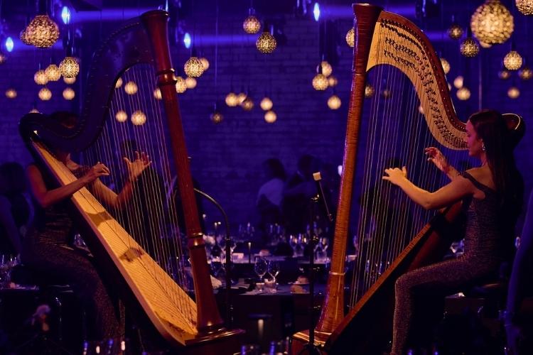 Harpedelique StringsAndVoices1